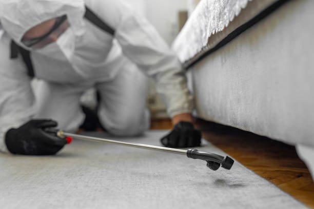 Professional Bed Bug Control technician working in Linn County County, KS